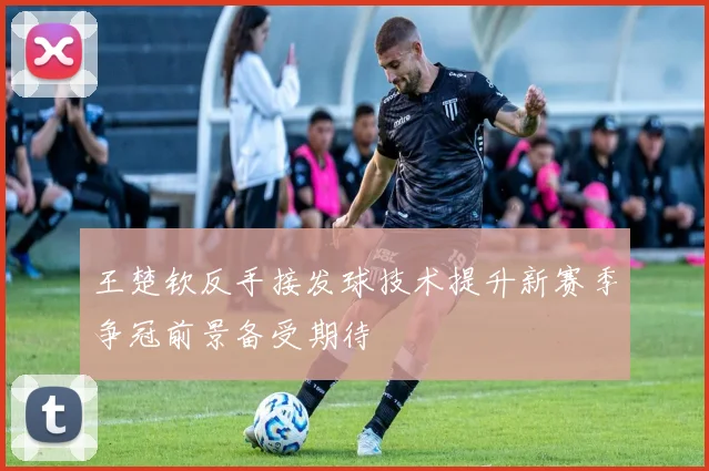 王楚钦反手接发球技术提升新赛季争冠前景备受期待
