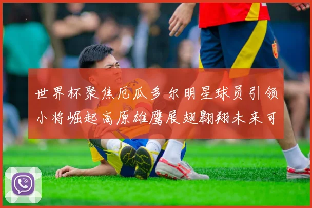 世界杯聚焦厄瓜多尔明星球员引领小将崛起高原雄鹰展翅翱翔未来可期